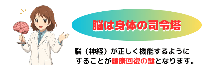 脳は身体の司令塔
